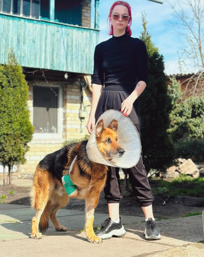 "Животные мне как дети". Где сейчас Анастасия Тихая, спасшая собак из Ирпеня в начале войны